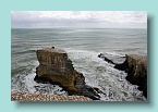 09_Gannets Nesting Grounds
